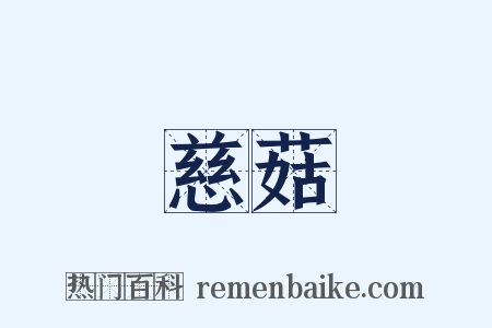 慈菇是什么意思的图片